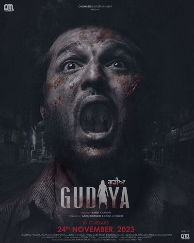 Gudiya 2023 Punjabi HdRip